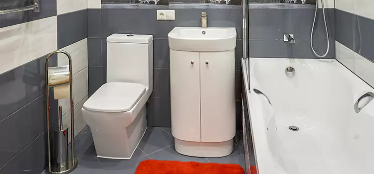 Hansgrohe Shaving Mirror Cypress